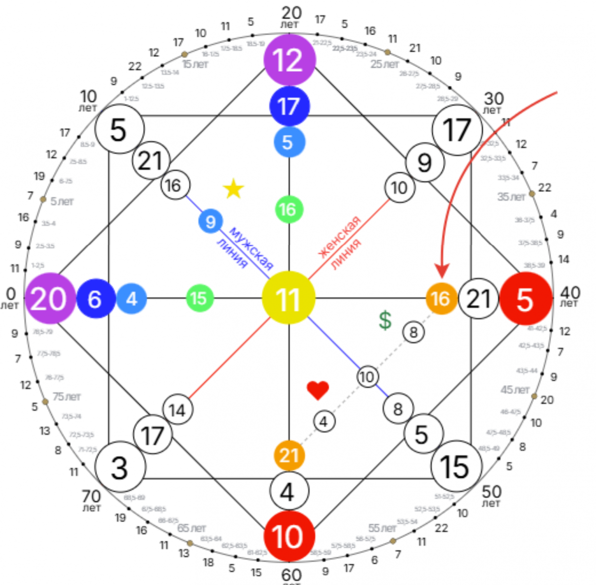 image(11).png